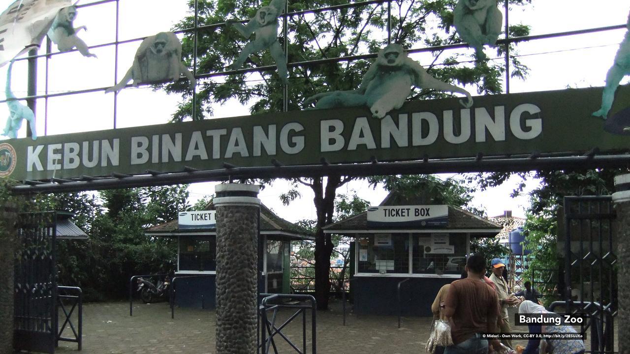 Zen Rooms Bukit Tunggul 万隆 外观 照片